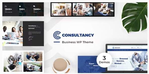 Consultancy Business