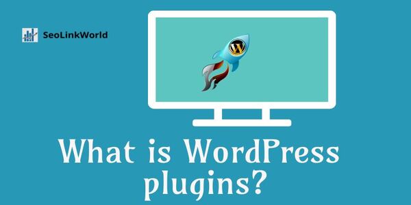 What is WordPress plugins