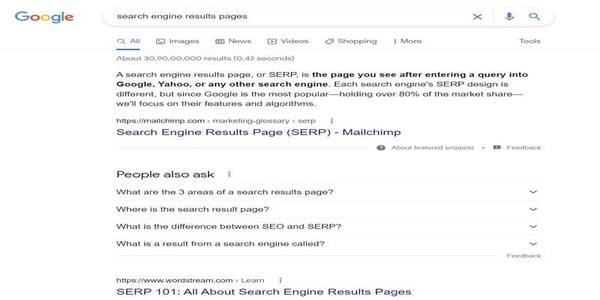 Organic Search Engine Results Pages